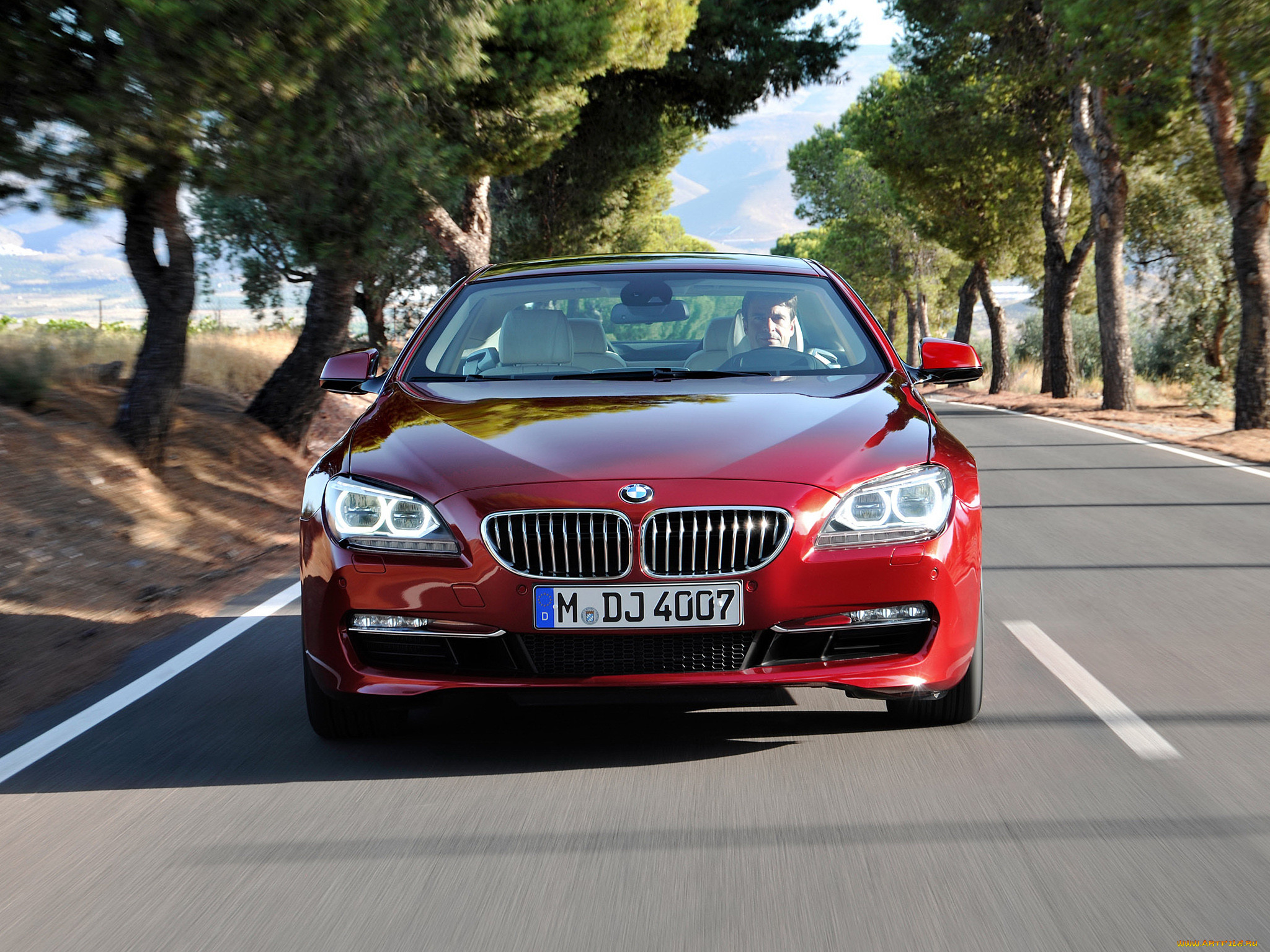 , bmw, coupe